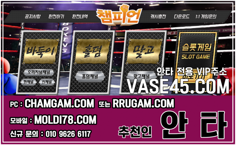 비타민맞고 비타민게임